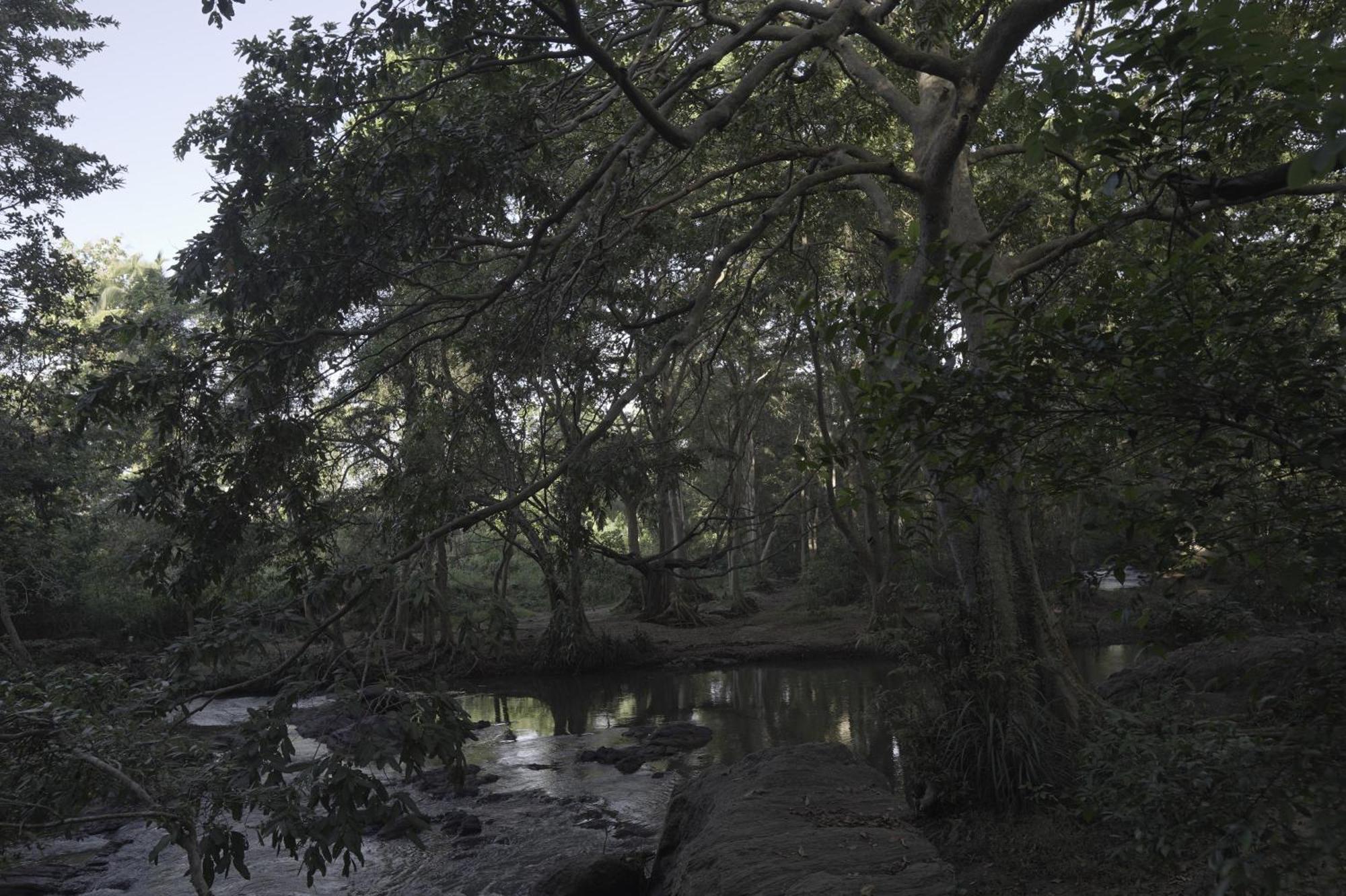 River Glamping By Gaga Bees Udawalawe Exterior foto