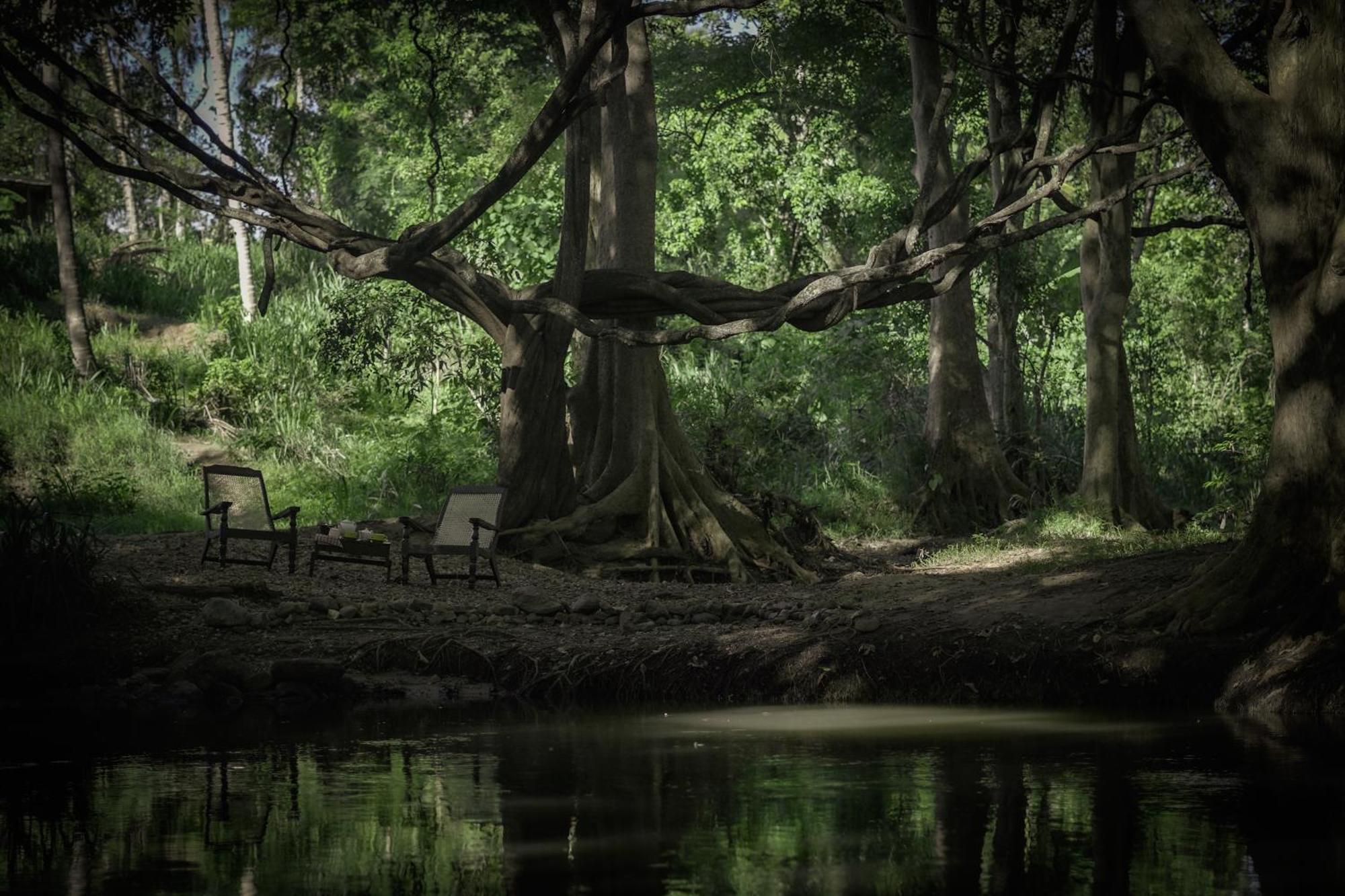 River Glamping By Gaga Bees Udawalawe Exterior foto