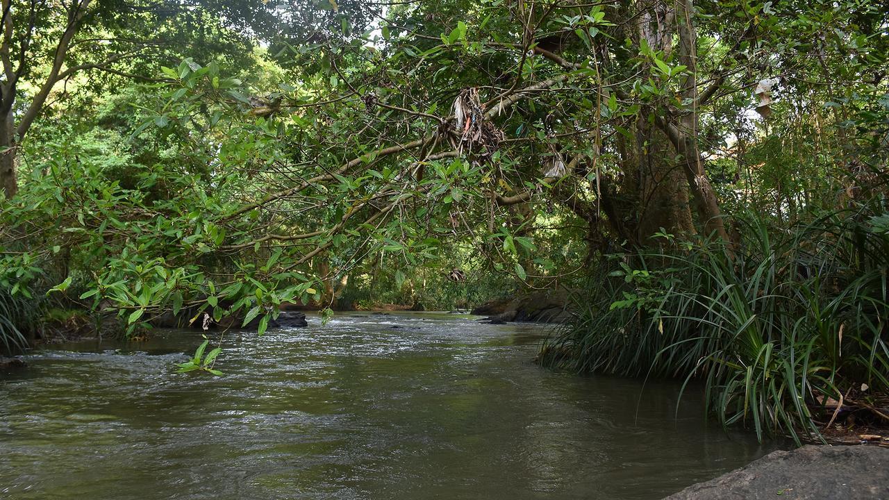 River Glamping By Gaga Bees Udawalawe Exterior foto